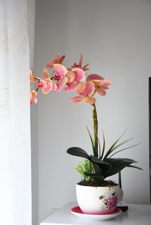 Apartment Click - *